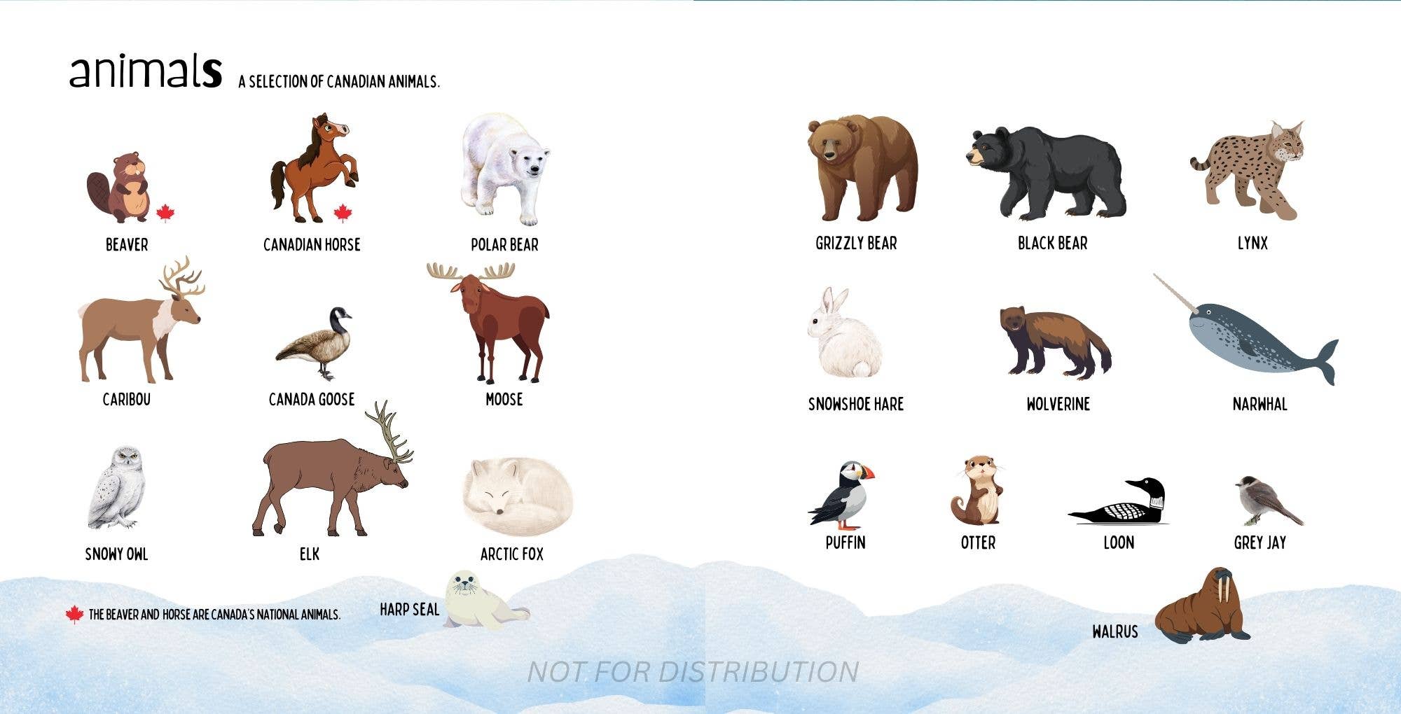 The Most Canadian Baby Book Ever Eh! Cute Canada Baby Book